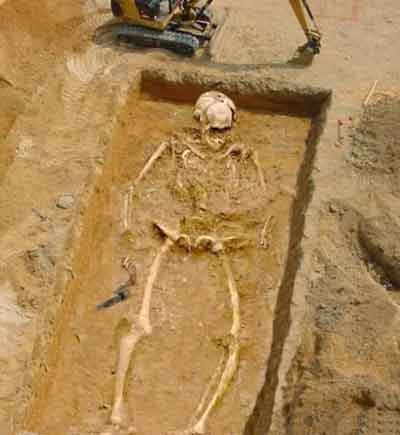 giantskeleton211